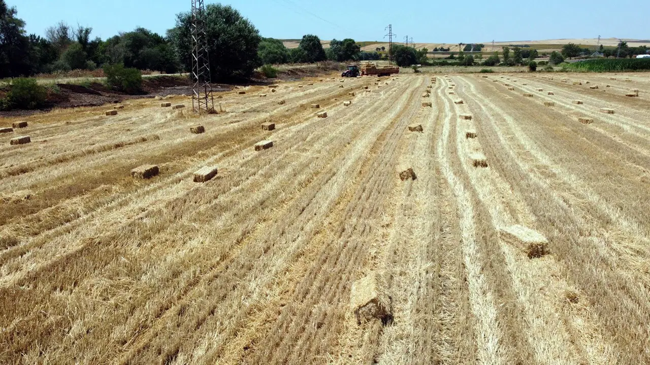 Tekirdağ’da ‘orman yangınları’ önlemi: Balya bağlanması ve açık alanda ateş yakılması yasaklandı