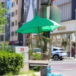 Izmir sokaklarinin yeni fenomeni sakiri kaybedince shakira icin yeni cozum buldu xHU2KLS4